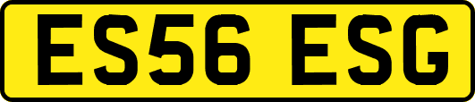ES56ESG