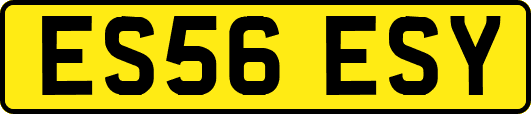 ES56ESY