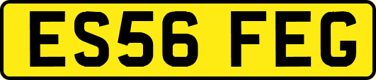 ES56FEG
