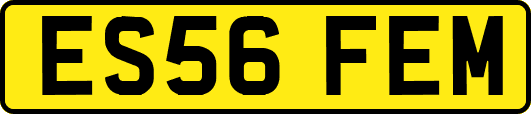 ES56FEM