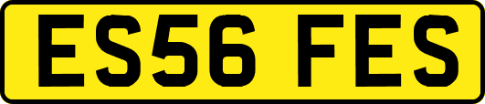 ES56FES