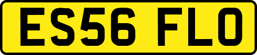 ES56FLO