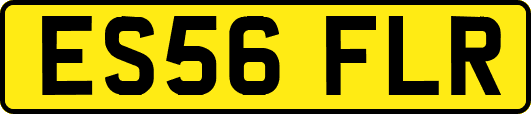 ES56FLR
