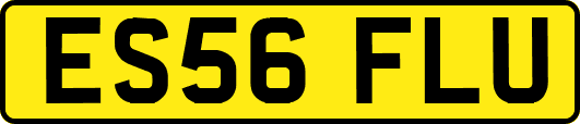 ES56FLU