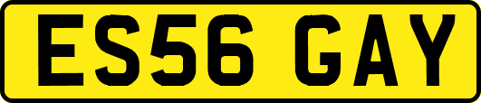 ES56GAY