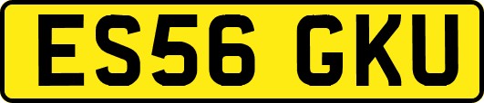 ES56GKU