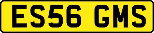 ES56GMS