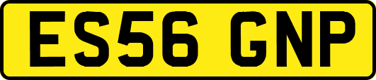 ES56GNP