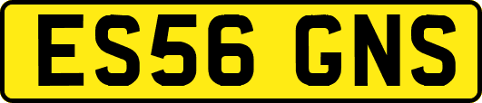ES56GNS