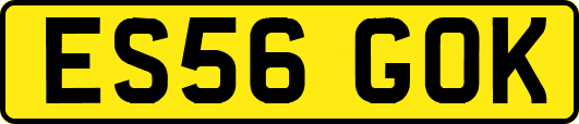 ES56GOK