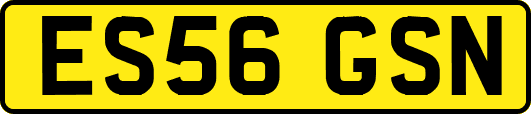 ES56GSN