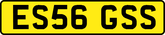 ES56GSS