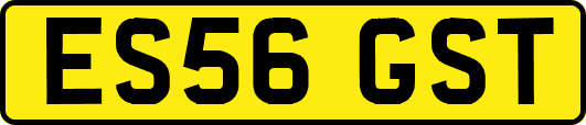 ES56GST