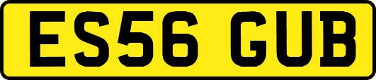 ES56GUB