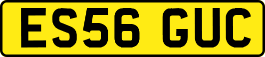 ES56GUC