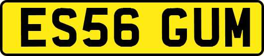 ES56GUM