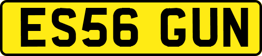 ES56GUN