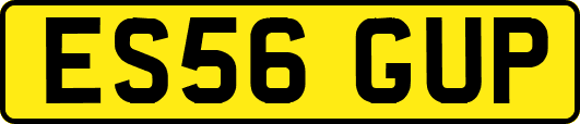 ES56GUP