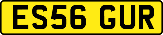 ES56GUR