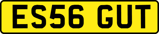 ES56GUT