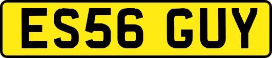 ES56GUY