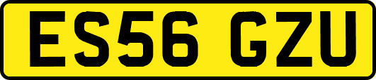 ES56GZU