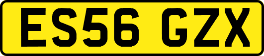 ES56GZX