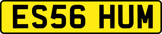 ES56HUM