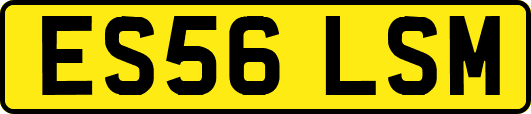 ES56LSM