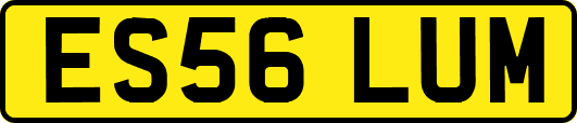 ES56LUM