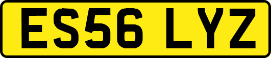 ES56LYZ