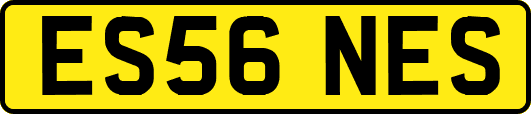 ES56NES