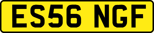 ES56NGF