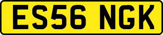 ES56NGK