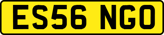 ES56NGO