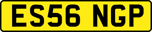 ES56NGP
