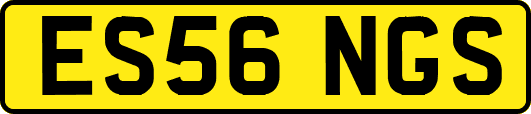 ES56NGS