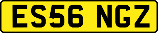 ES56NGZ