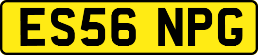 ES56NPG