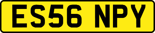 ES56NPY