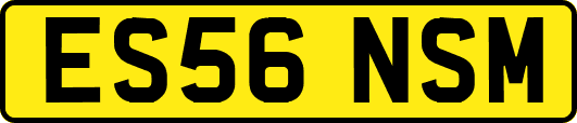 ES56NSM