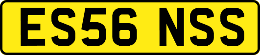 ES56NSS