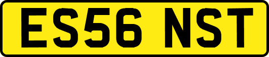 ES56NST