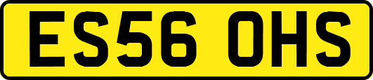 ES56OHS