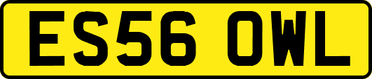 ES56OWL