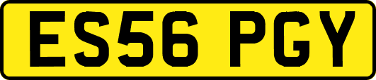 ES56PGY