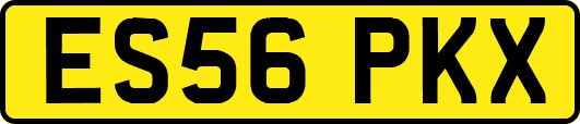 ES56PKX