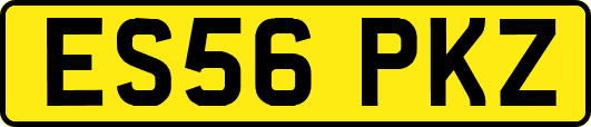 ES56PKZ
