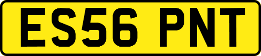 ES56PNT