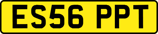 ES56PPT